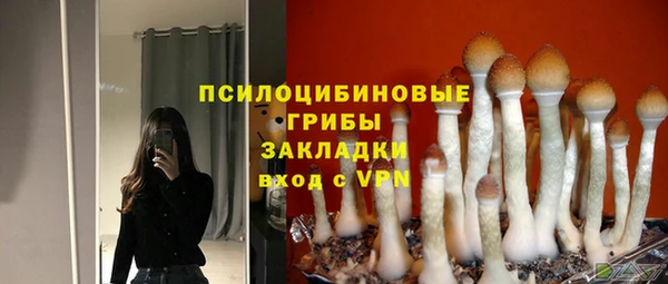 apvp Нягань