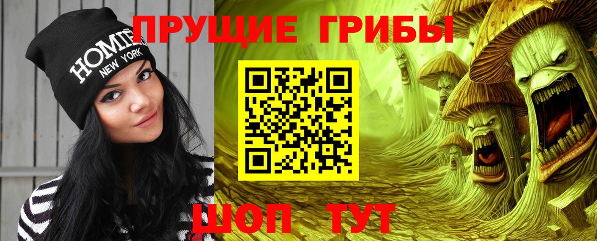 где продают наркотики  Галлюциногенные грибы мухоморы  Вход с VPN  Кумертау 