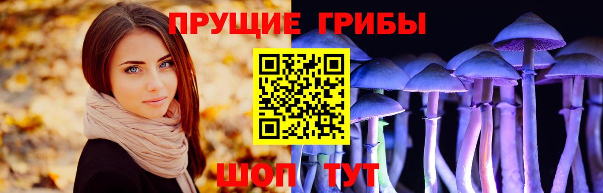 Лсд 25 Кумертау