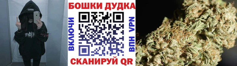 Конопля сатива  Кумертау 